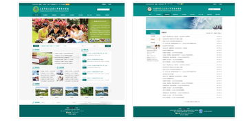 奈福網絡 為上海院校打造高端網站設計與建設方案